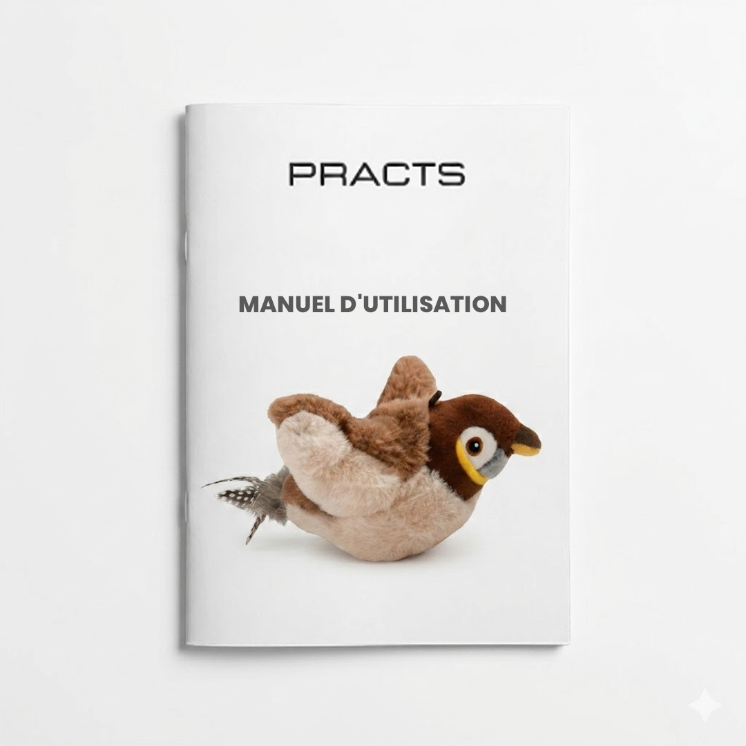 PRACTS Oiseau Ailé